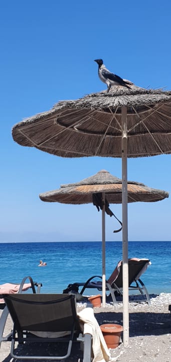 Strand The Ixian Grand & All Suites