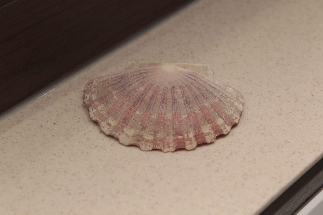 Pool Hotel Pfälzer Hof