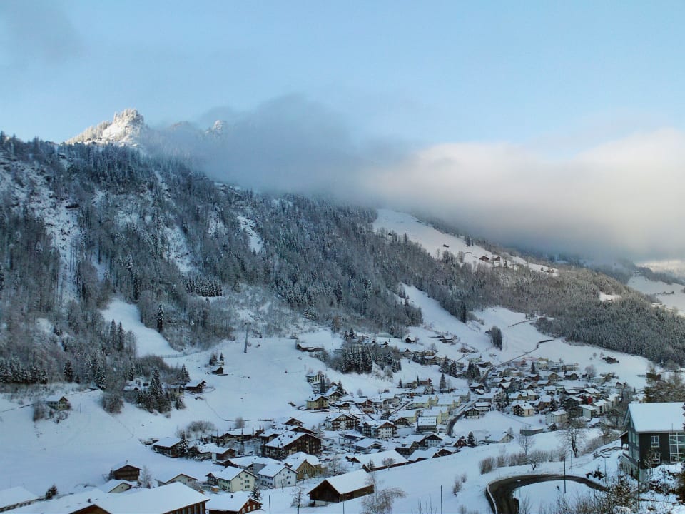 Aussicht aus dem Zimmer Seeblick Höhenhotel