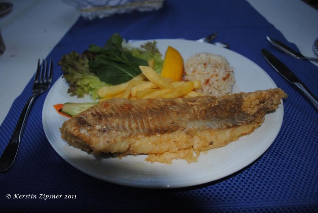 Fisch-Teller Can Garden Beach