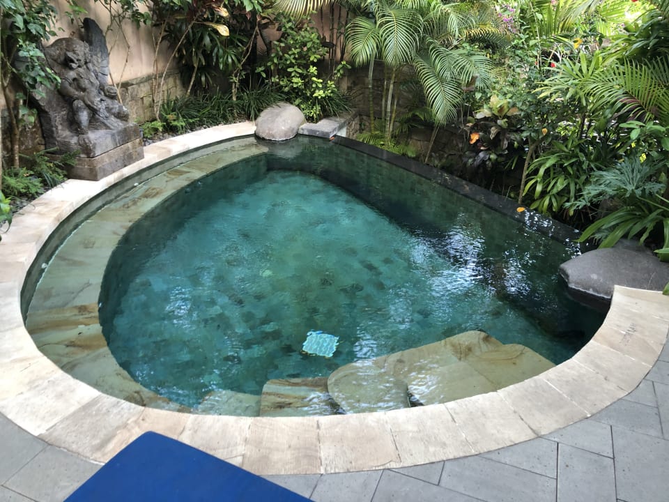 Pool Dwaraka The Royal Villas