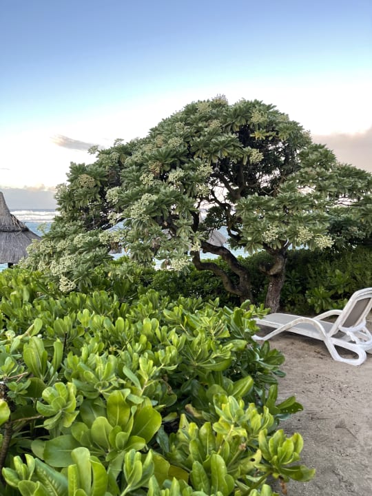 Ausblick Radisson Blu Poste Lafayette Resort & Spa - Adults only