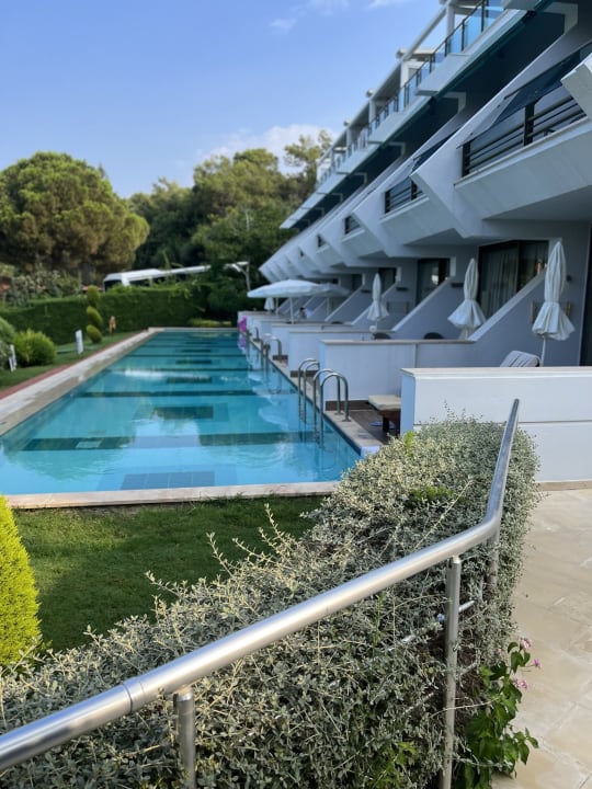 Pool Side Star Elegance