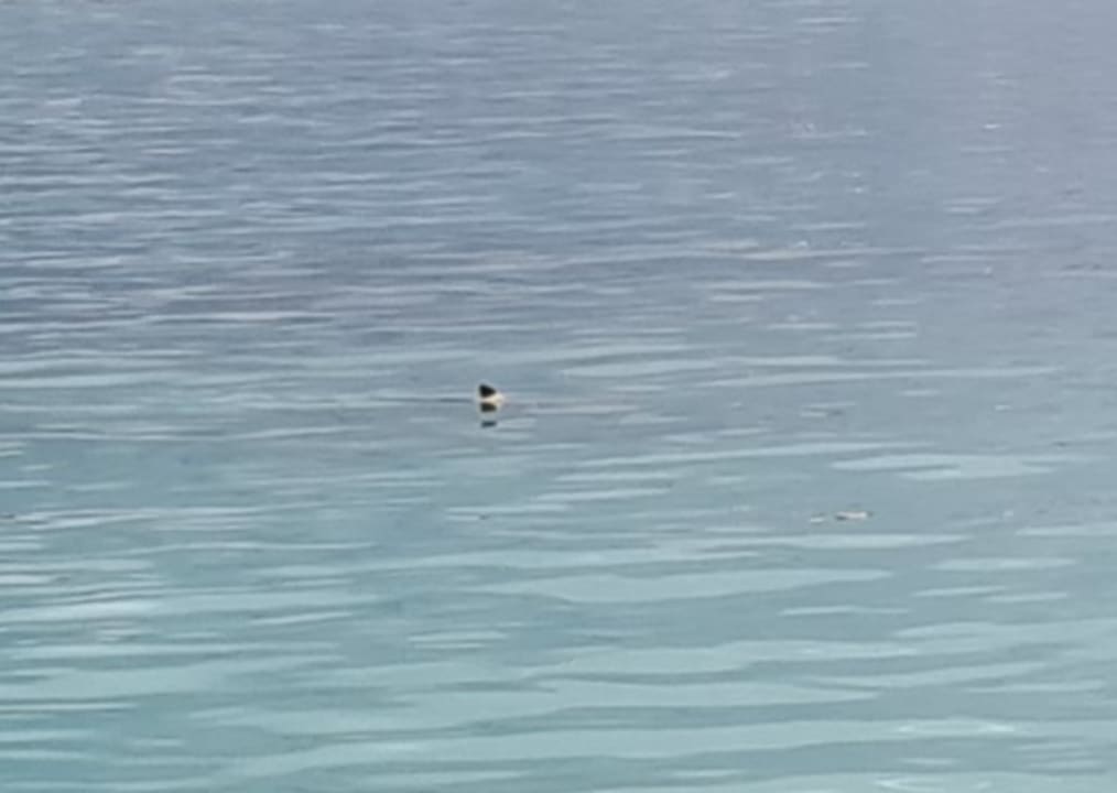 Strand Cinnamon Dhonveli Maldives