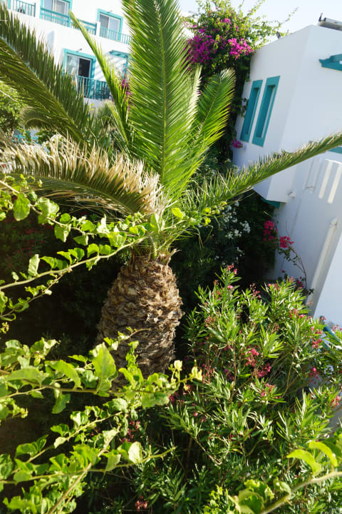 Gartenanlage Mastichari Bay Hotel
