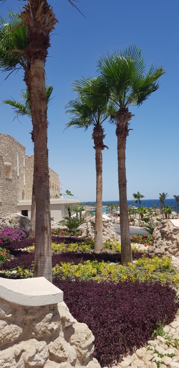 Gartenanlage Pickalbatros Citadel Resort