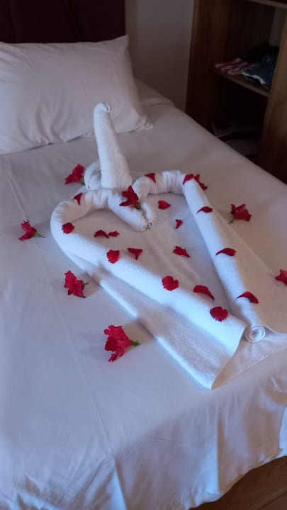 Zimmer Stella Beach Resort & Spa Makadi Bay