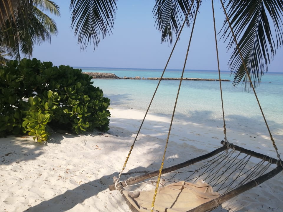 Strand Summer Island Maldives