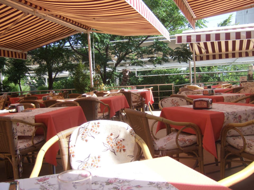 Terrasse Hotel Orfeus Park