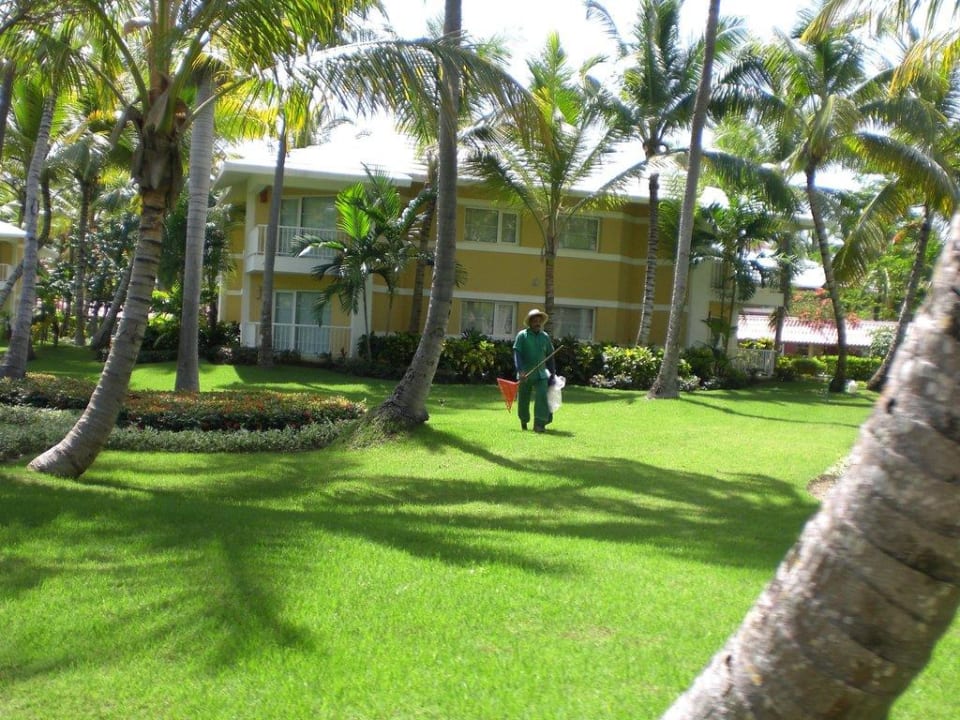 Rundfahrt mit der Bimmelbahn Grand Palladium Select Bávaro Resort & Spa