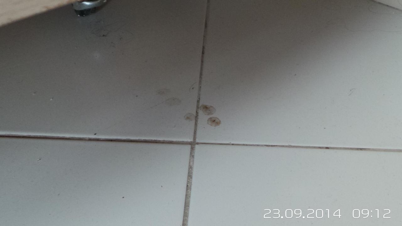 7 Tage Flecken Hotel Nesrine