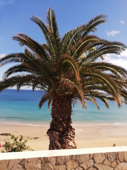 Strand SBH Club Paraiso Playa