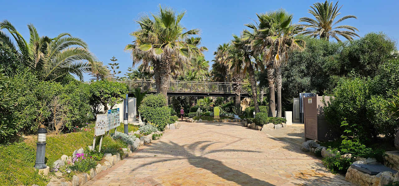 Gartenanlage TUI MAGIC LIFE Africana