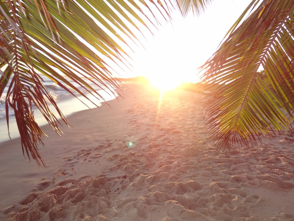 Strand Hotel Porto Zarpa