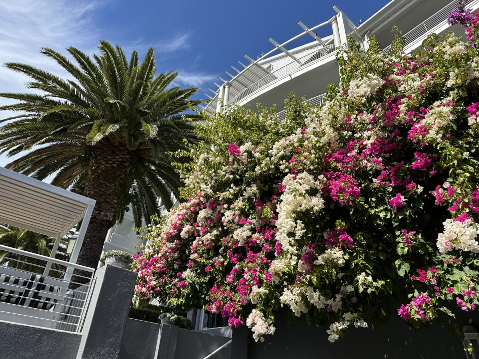 Gartenanlage Romney Park All Suite Hotel & Spa