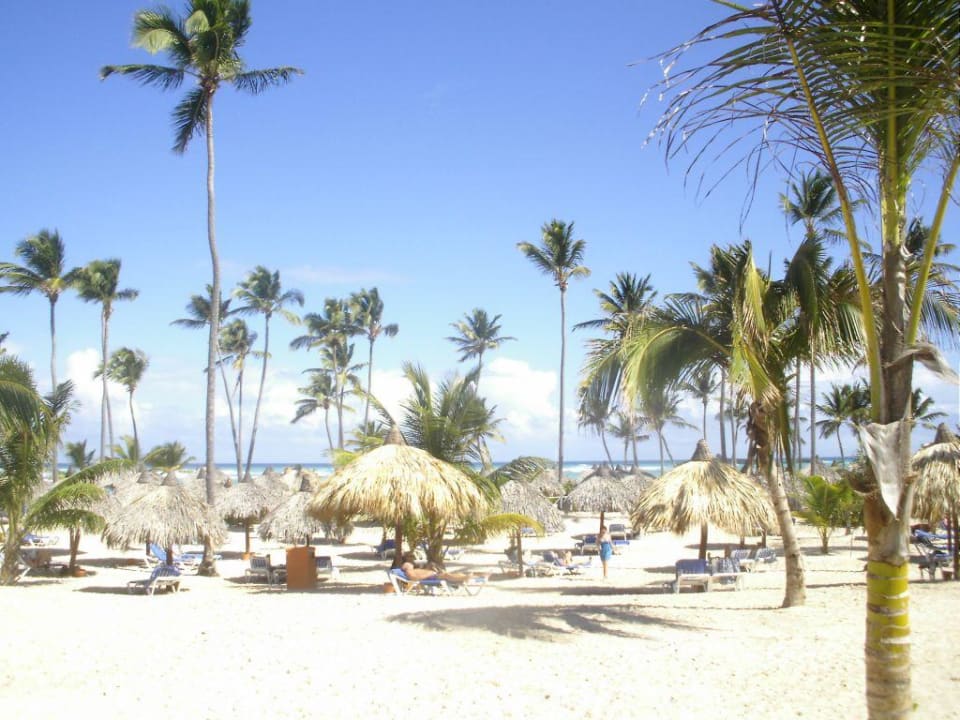 Plage de l'hôtel Bahia Principe Luxury Ambar