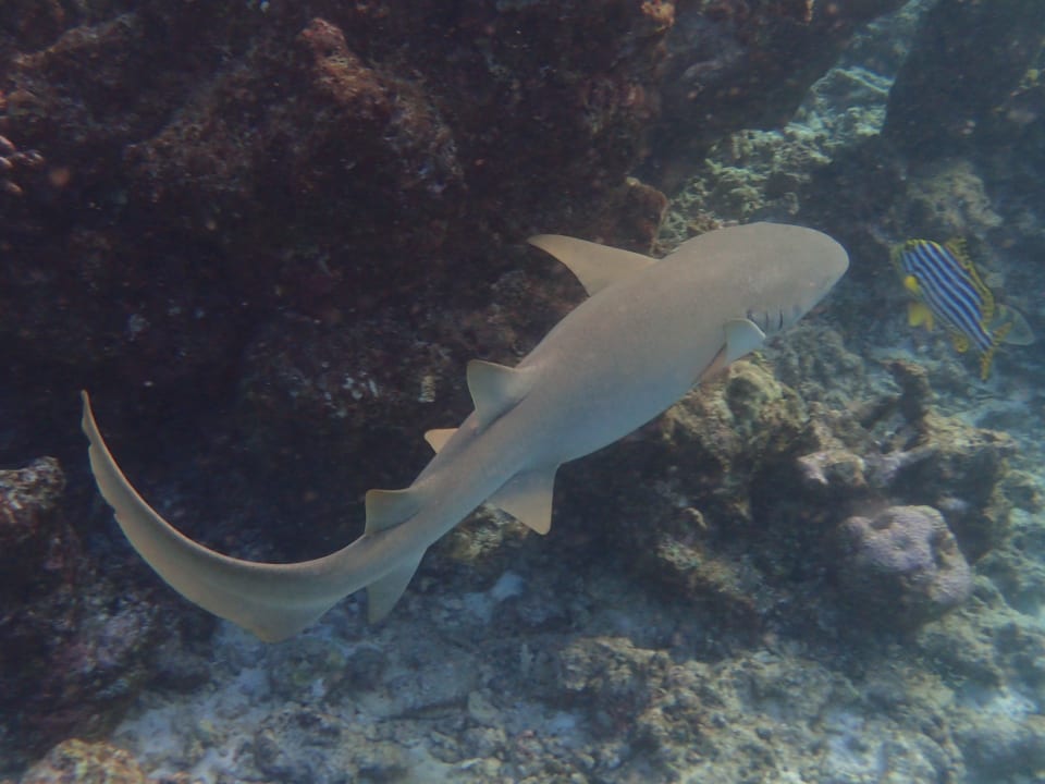 Sonstiges Thulhagiri Island Resort