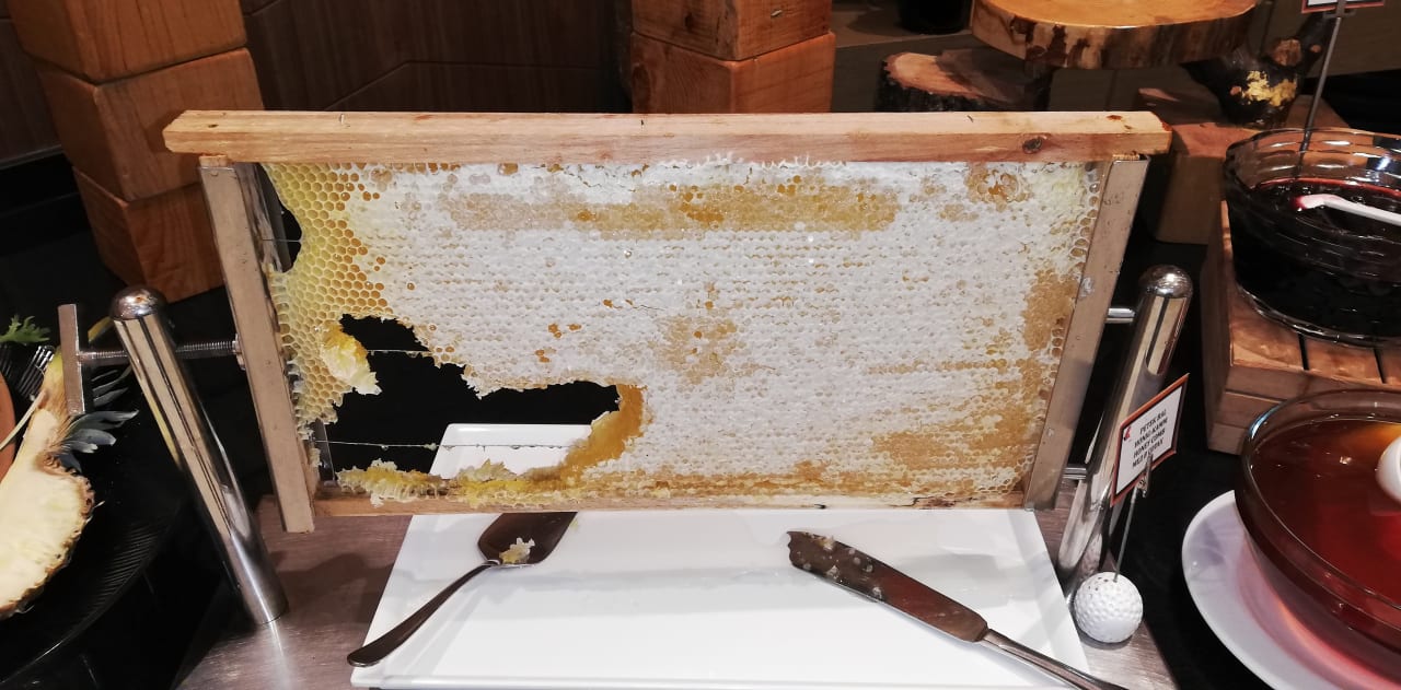 Gastro Sidemarin Kirman Premium