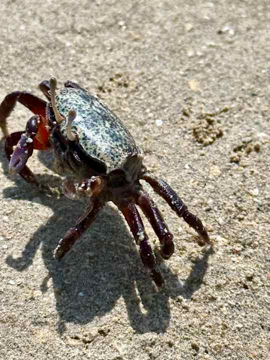 Strand Casa Mare Resort