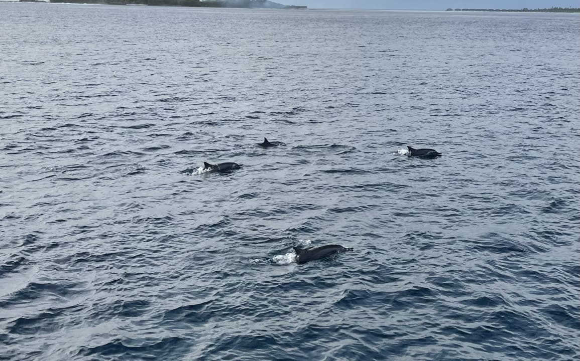 Sport & Freizeit Cinnamon Dhonveli Maldives