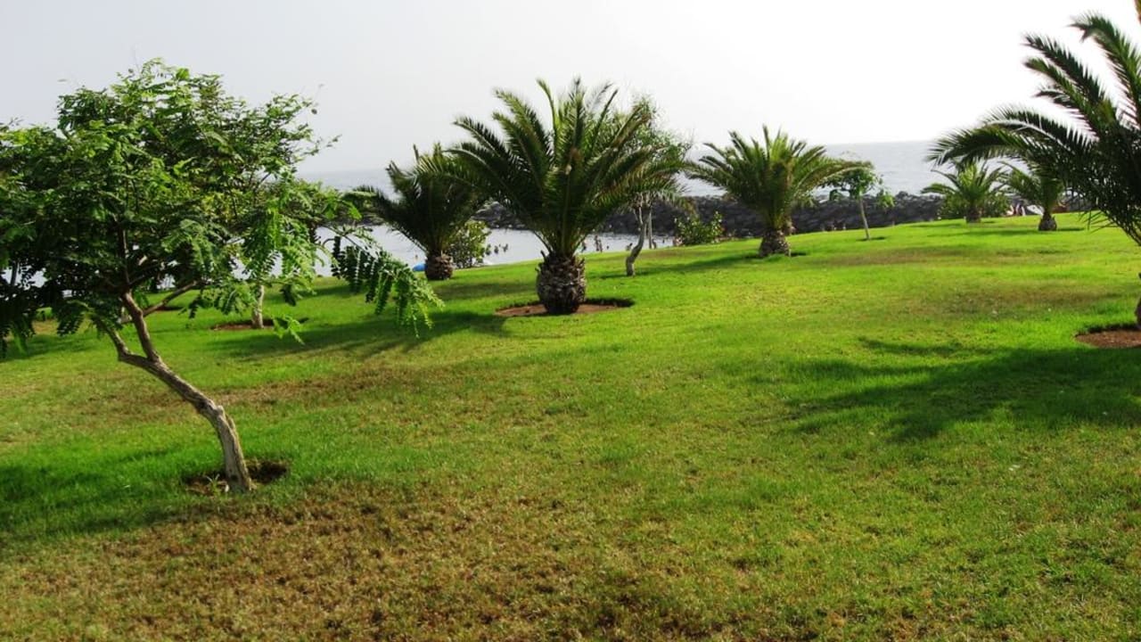 Gartenbereich Hotel Riu Palace Tenerife