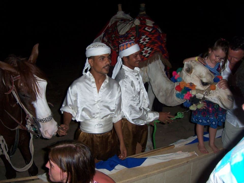 Abends nach der Show Pickalbatros Alf Leila Wa Leila Resort - Neverland Hurghada