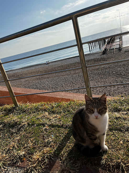 Strand Limak Limra Hotel & Resort