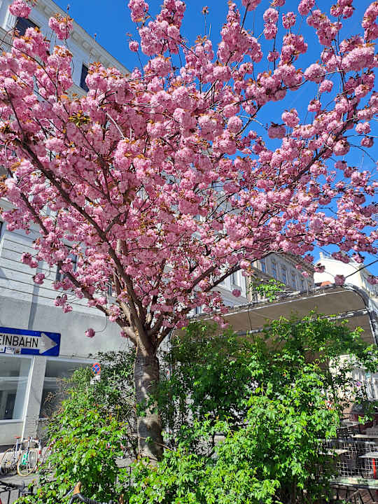 Außenansicht VONRESORT Golden Beach