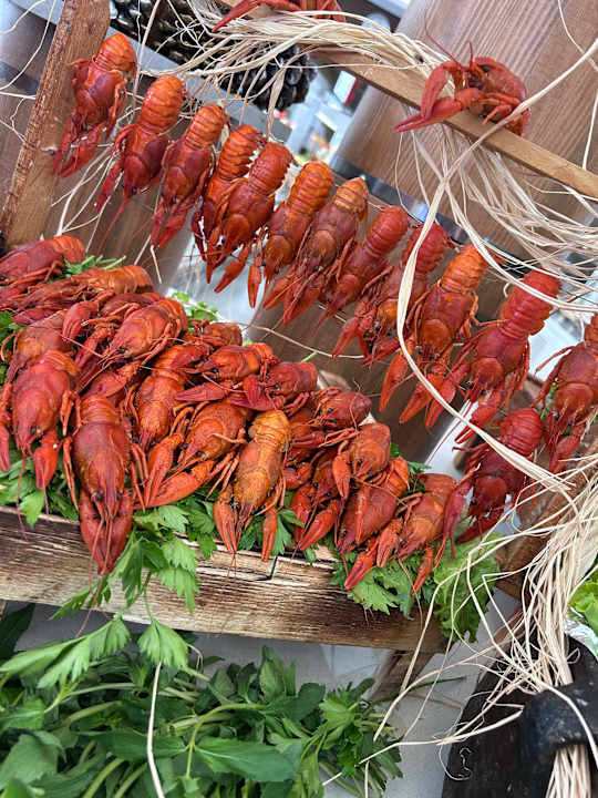 Gastro Lucas Didim Resort