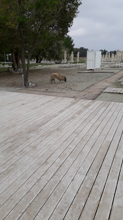 Strand Olympian Bay Grand Resort