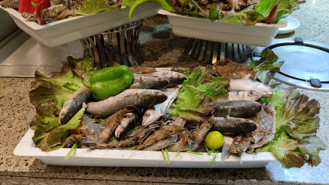 Gastro JAZ Elite Casa del Mar Beach