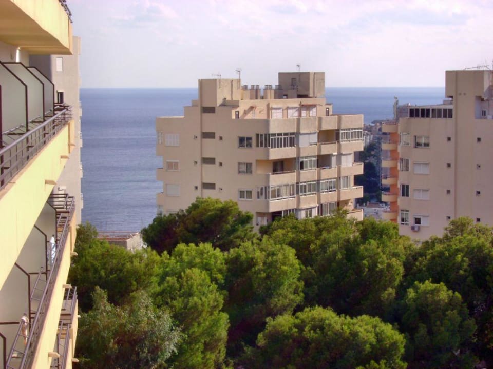 Blick vom Hotel aus BQ Belvedere Hotel