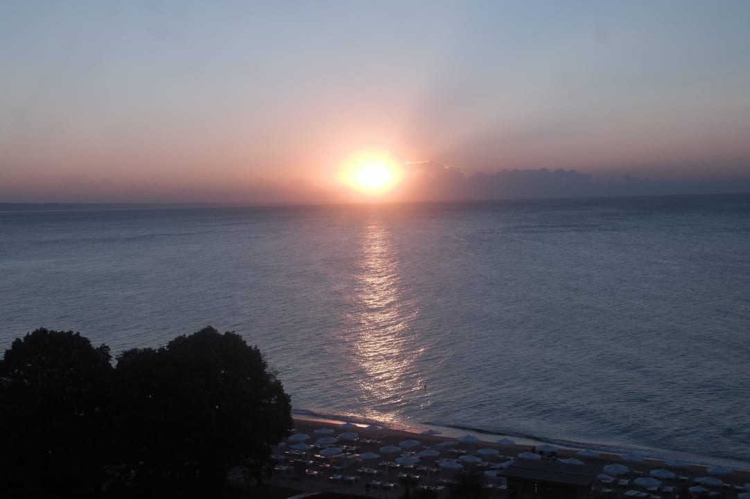 Sonnenaufgang GRIFID Vistamar