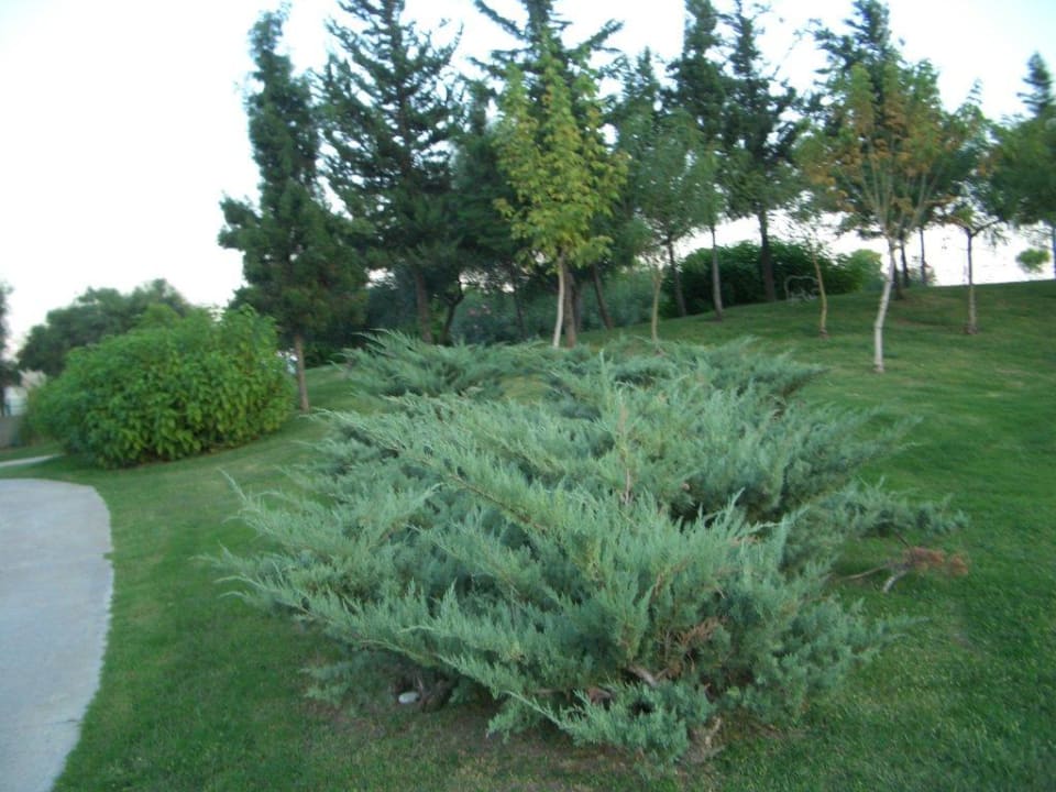 Limak Limra Limak Limra Hotel & Resort