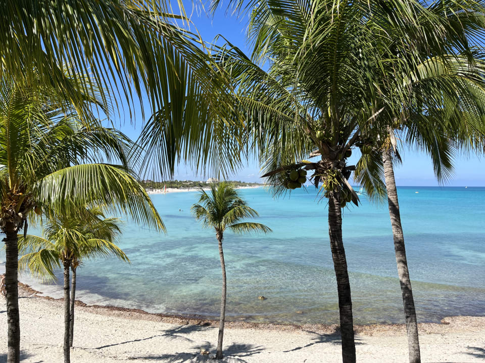 Ausblick Paradisus Varadero Resort & Spa