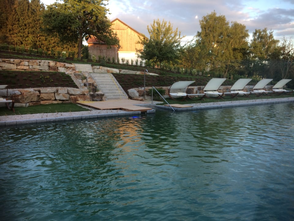 Pool im Saunabereich ULRICHSHOF Nature · Family · Design