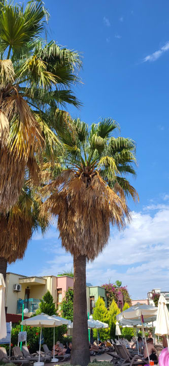 Ausblick VONRESORT Golden Beach