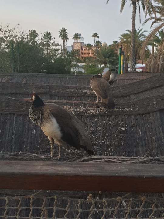 Sonstiges HL Miraflor Suites Hotel