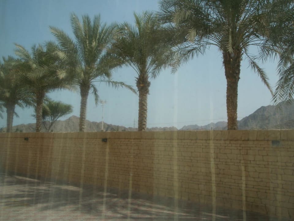 Vor dem Hotel Radisson Blu Resort Fujairah