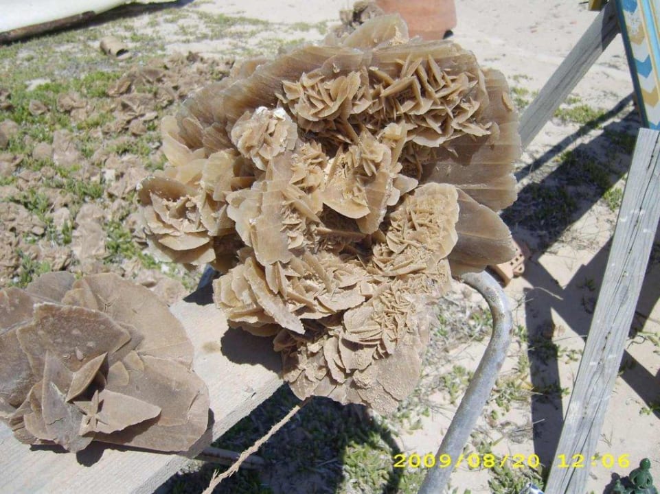 Sandrose Calimera Yati Beach