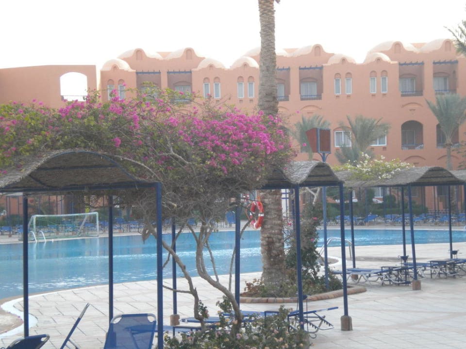 Pool mit Liegen und Sonnenschutz Jaz Makadi Oasis Resort