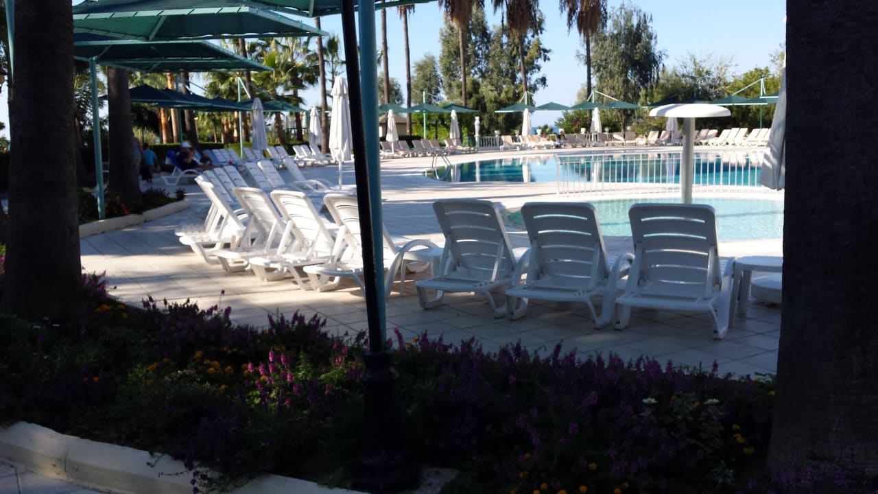 Pool Iz Flower Side Beach Hotel