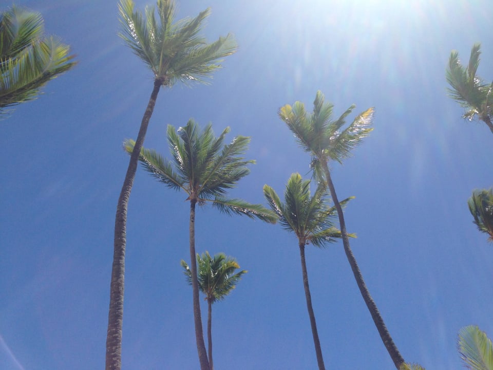 Hotel Grand Palladium Bávaro Suites Resort & Spa Grand Palladium Select Bávaro Resort & Spa