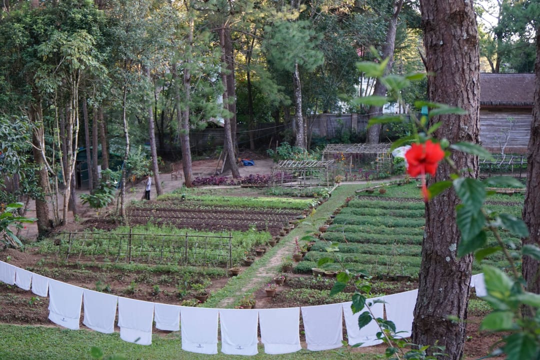 Kräutergarten Hotel Amara Mountain Resort