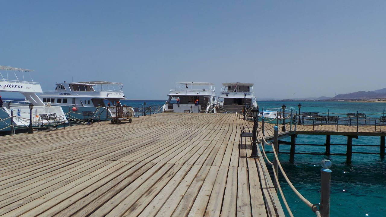 Steg zur Riffkante Amwaj Beach Club Abu Soma Resort