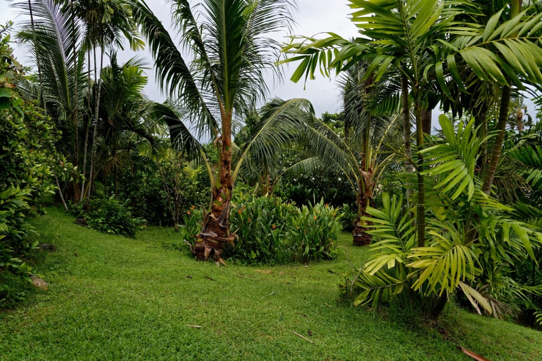Gartenanlage Cape Panwa Hotel