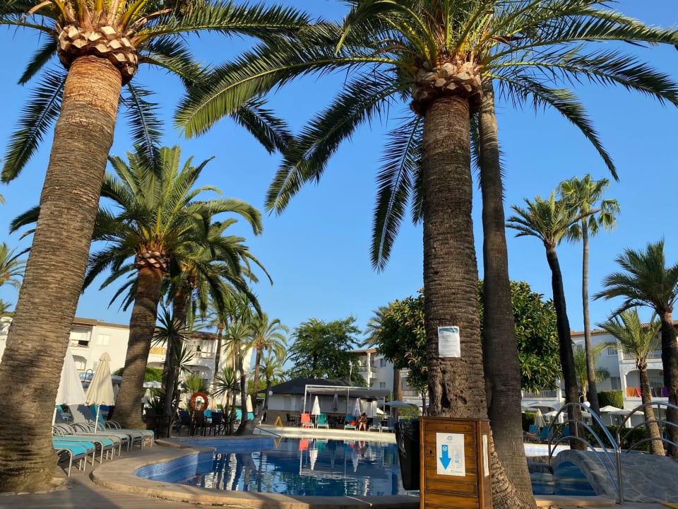 Pool Alcudia Garden Aparthotel