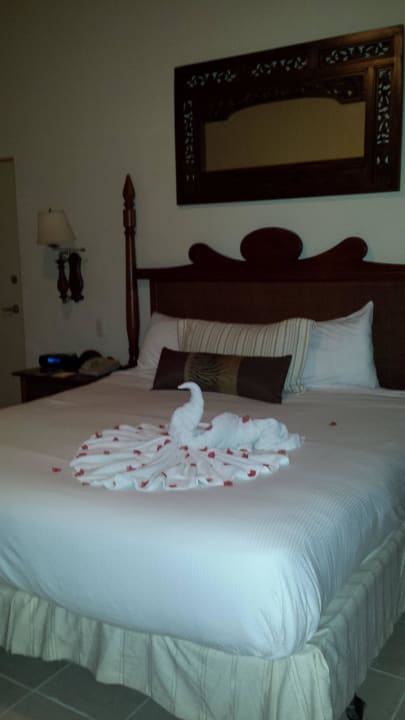 Honeymoon  Dreams La Romana Resort & Spa
