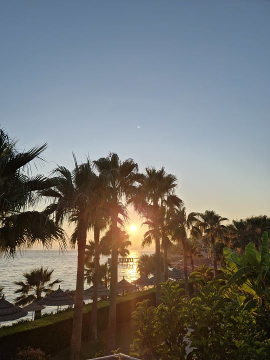 Sonstiges TUI MAGIC LIFE Bodrum - Adult Only (16+)