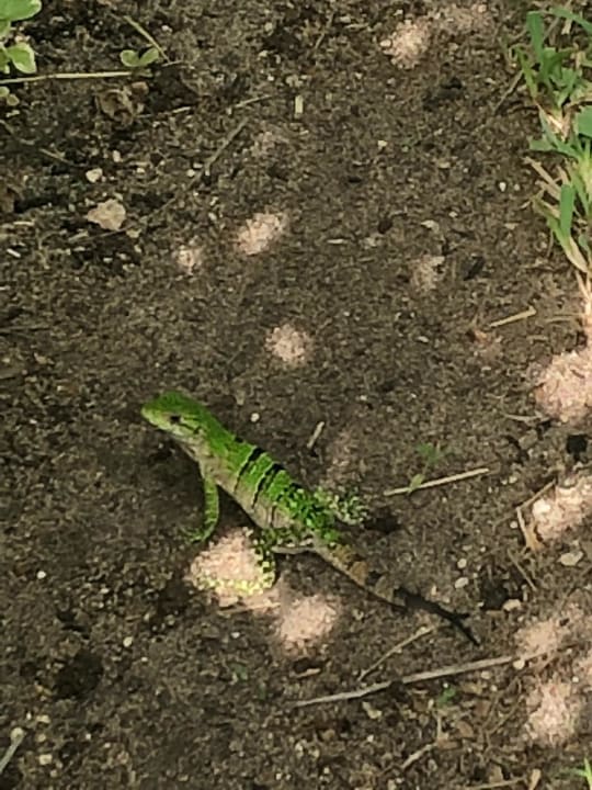 Sonstiges Akumal Bay Beach & Wellness Resort